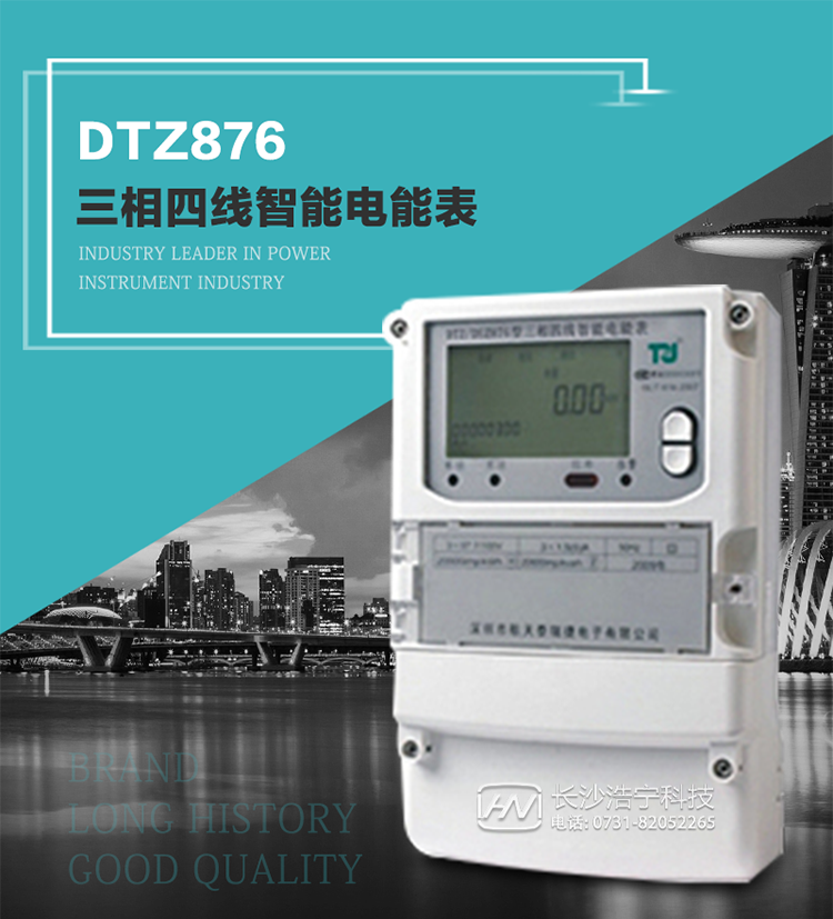 DTZ876型智能電能表是采用大規模集成電路，應用數字采樣處理技術及SMT工藝，根據工業用戶實際用電狀況所設計制造的具有現代先進水平的儀表。
該表性能指標符合GB/T 17215.321-2008《交流電測量設備 特殊要求》第21部分靜止式有功電能表（1級和2級）、GB/T 17215.322-2008《交流電測量設備 特殊要求》第22部分靜止式有功電能表（0.2S級和0.5S級）國家標準和DL/T 614–2007《多功能電能表》標準，其通信符合DL/T645–2007《多功能電能表通信協議》的要求，并兼容DL/T645–1997《多功能表通信規約》的要求，可根據功能定制需求符合多功能電能表的各項技術要求。