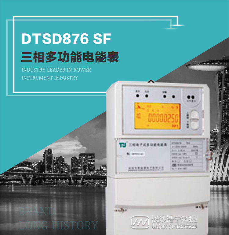 產品型號：DTSD876 SF型 三相多功能電能表
精度等級：有功0.5級 1級；無功2級 
額定電壓： 3×100V 3×57.7/100V 3×220/380V 
額定電流： 1.5(6)A 5(20)A 10(40)A 15(60)A 20(80)A 30(100)A 
頻 率： -40℃～+70℃ 
工作溫度：≤0.5S 
顯示方式： ≥1000mAh 
整機功耗： ≥10年 
重量： 約2.4kg 
外形尺寸： 293mm×175mm×80mm